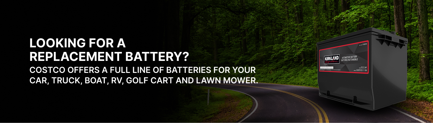 Looking for a replacement battery?