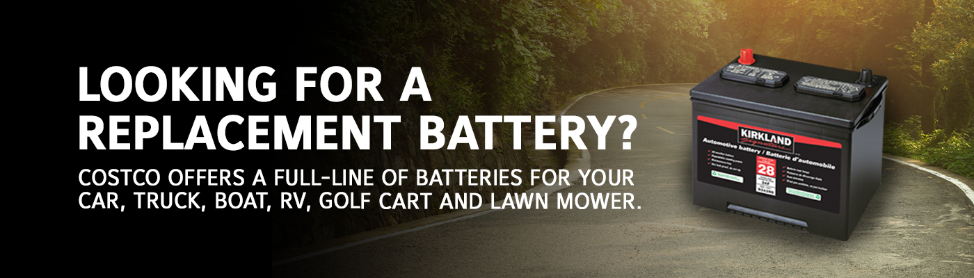 Looking for a replacement battery?