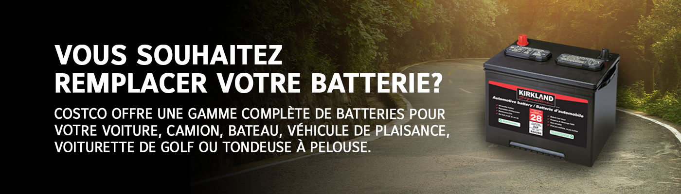 vous souhaitez remplacer votre Batterie?