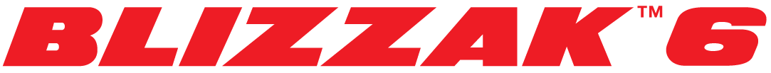 Bridgestone blizzak 6