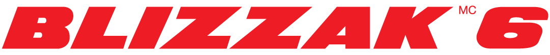Bridgestone blizzak 6