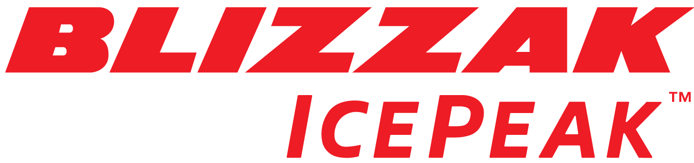 Bridgestone blizzak 6