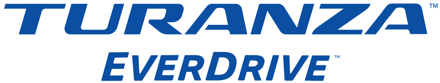 Bridgestone Turanza Everdrive
