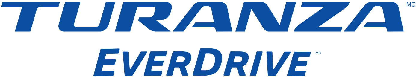 Bridgestone Turanza Everdrive